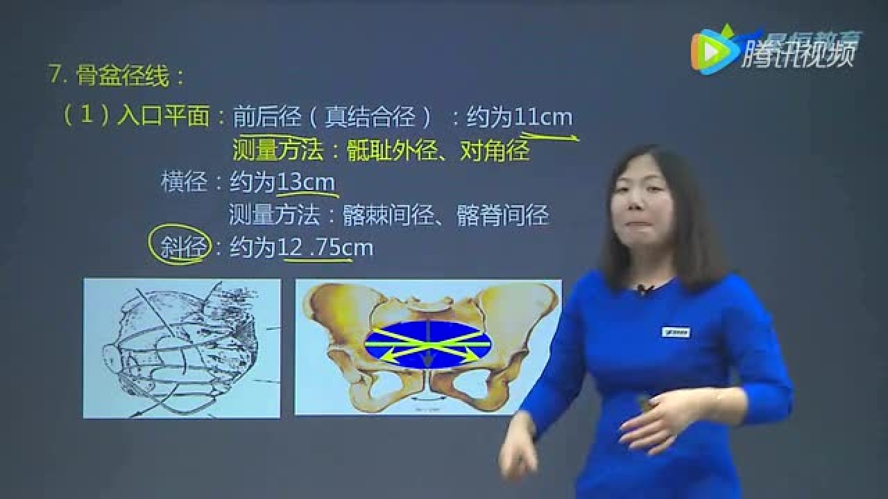 第1章女性生殖系统解剖(3)_高清1080P在线观看平台_腾讯视频