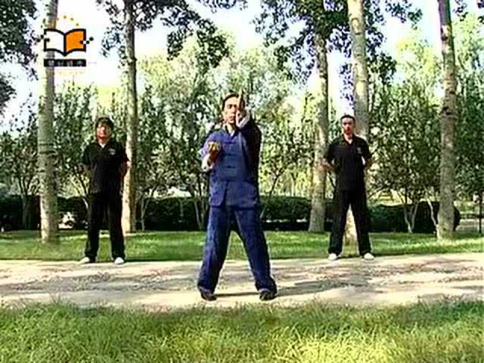 咏春拳—高级搏斗招式_腾讯视频