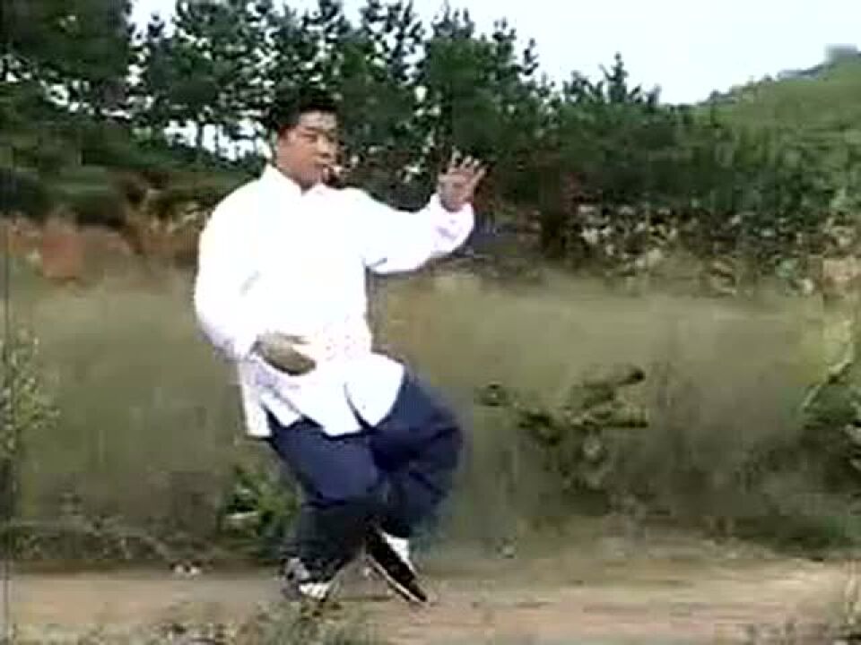 付清泉杨氏太极拳85式口令_腾讯视频
