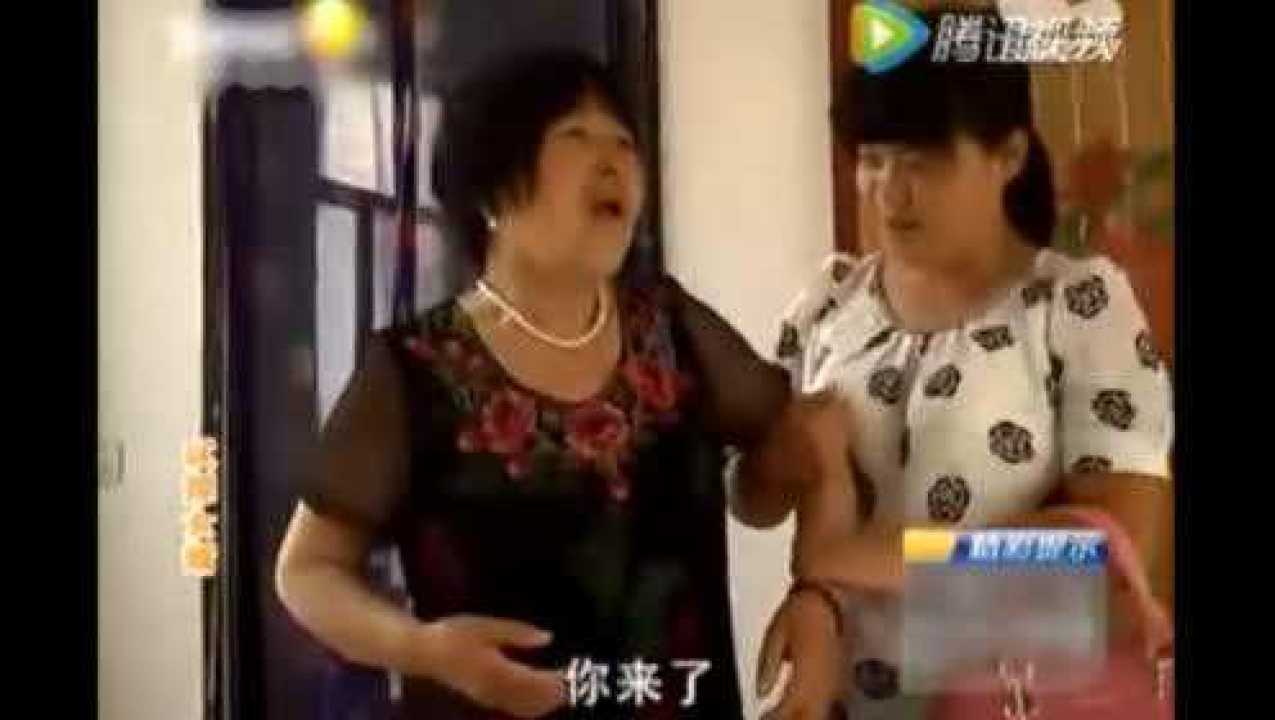 农村丈母娘和女婿的故事,真人真事腾讯视频