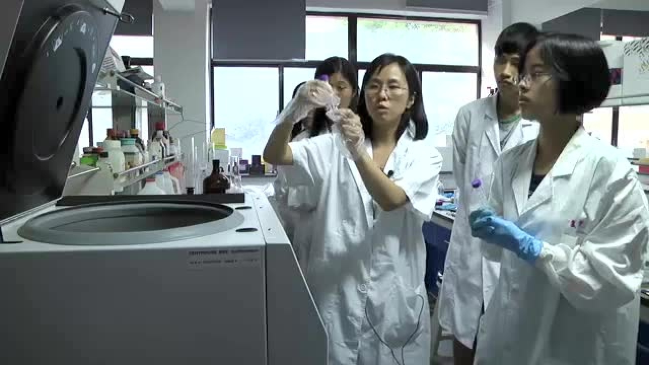 38.细胞染色体标本制备医学遗传学高清1080P在线观看平台腾讯视频