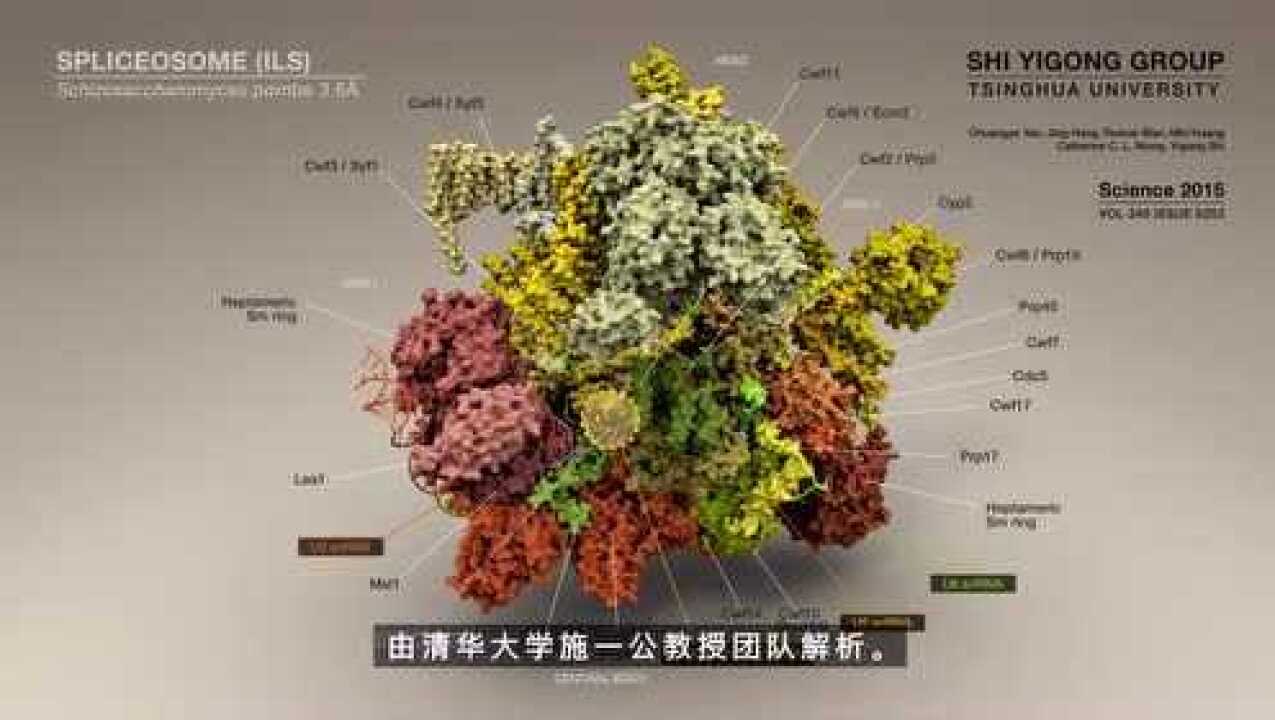 剪接体结构——理解前体信使RNA剪接的分子体系_高清1080P在线观看平台_腾讯视频