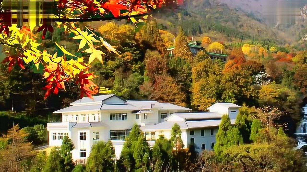 经典怀旧轻音乐50首_腾讯视频