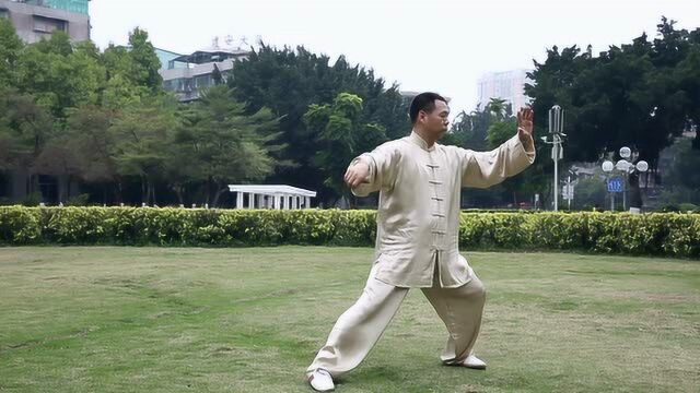 陈氏太极拳小架整套演示
