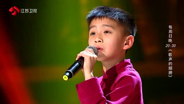 10岁男孩王泓翔演唱梅派代表作品梨花颂难得一见