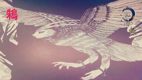 高清1080p在线观看平台_腾讯视频