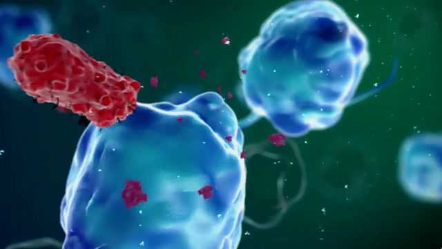 3D动画演示炎症反应和免疫系统发生原理,看完涨姿势了_腾讯视频