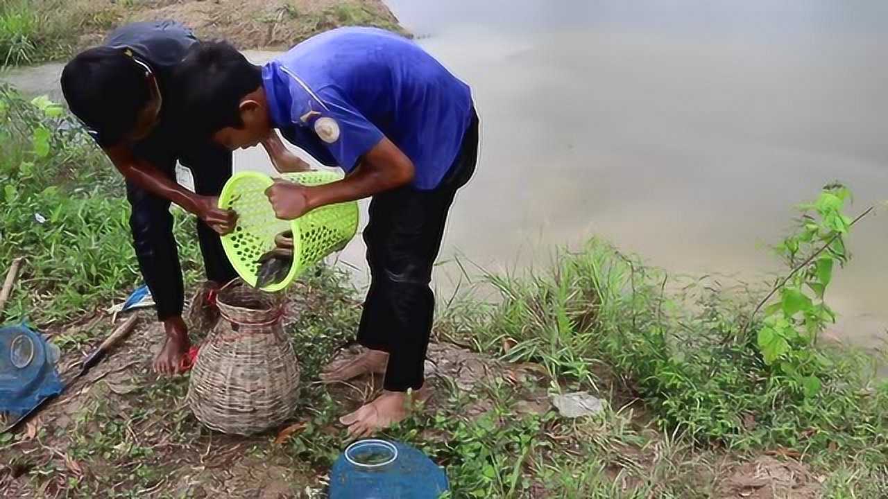 东南亚祖传的抓鱼方法几个小时内小学生都能抓一篓子鱼厉害