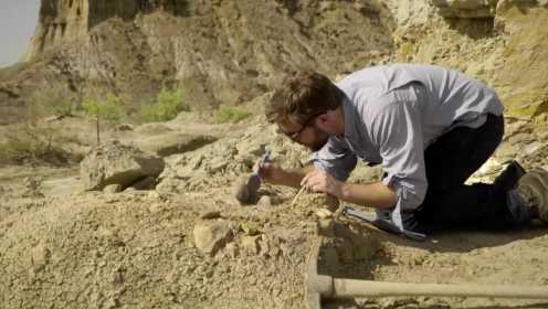 加拿大体验之旅：竟然可以挖恐龙化石？