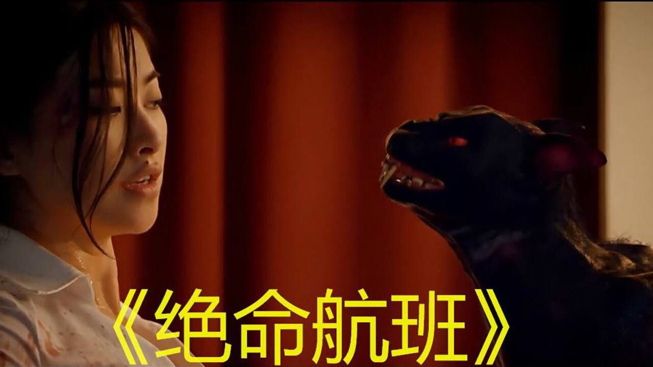 几分钟看完惊悚灾难电影绝命航班变异黑猫在飞机上接连伤人