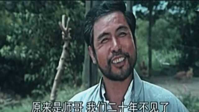 一部很多人没看过的老武打片《福建少林拳》,堪称经典!