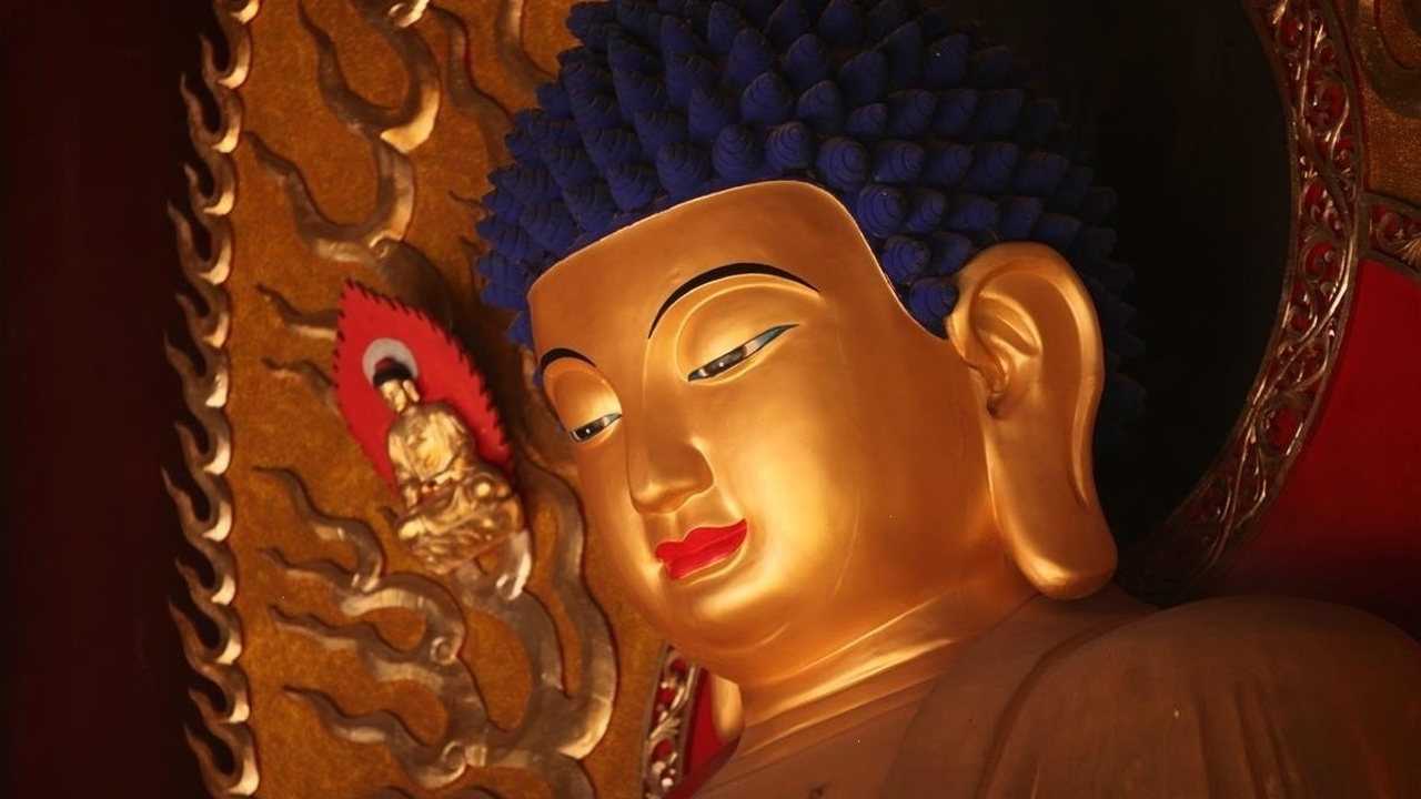 清净念佛静心聆听,佛教歌曲《悲悯》,从头到心的舒心