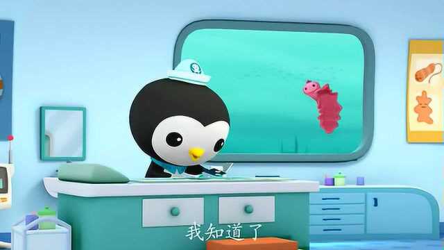 海底小纵队皮医生专心拼图没发现有人偷窥你吗