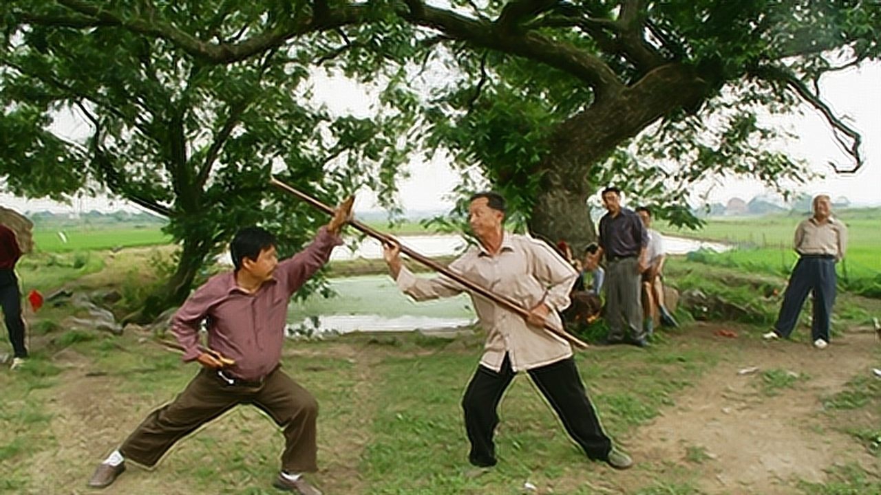 安徽 非遗文化《枞阳东乡武术》