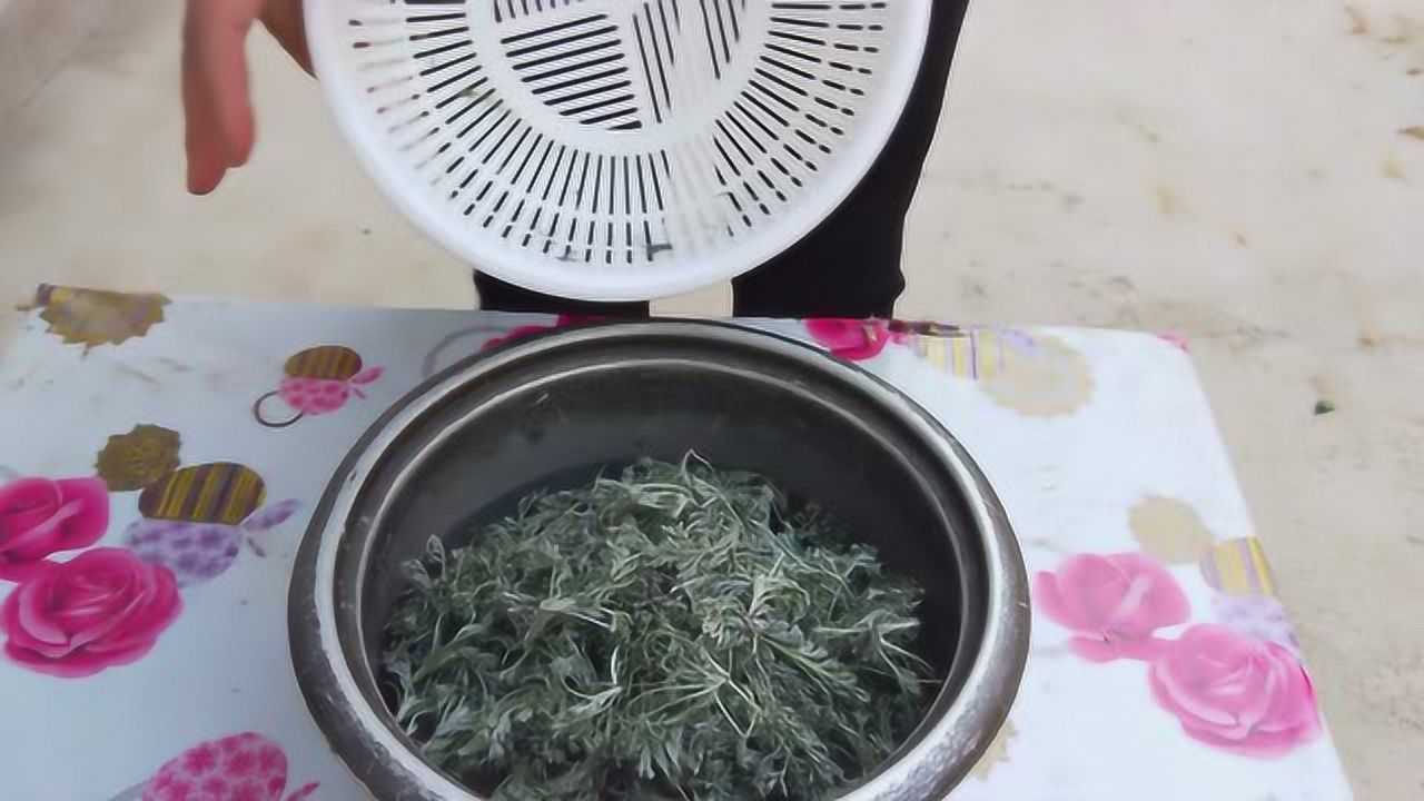 白蒿晒干后泡水喝主要能治哪些病?