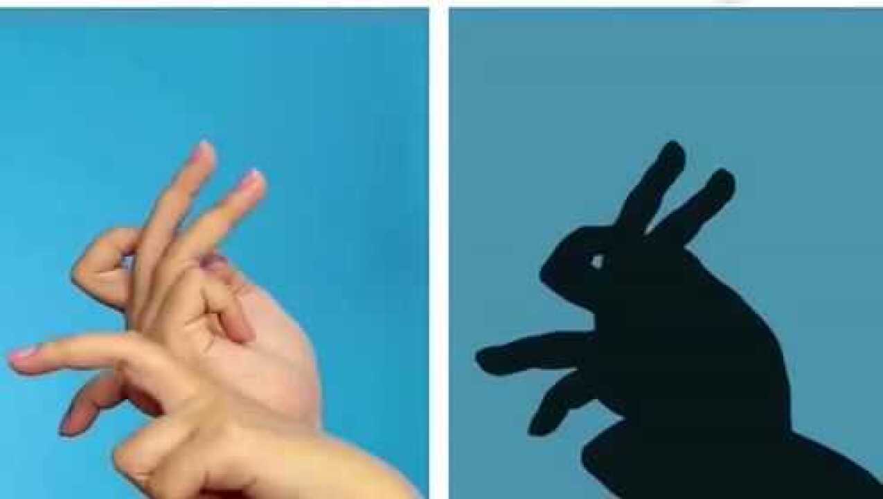 用手影摆出各种小动物,学会可以哄小朋友,也可以带小朋友一起做_高清1080P在线观看平台_腾讯视频