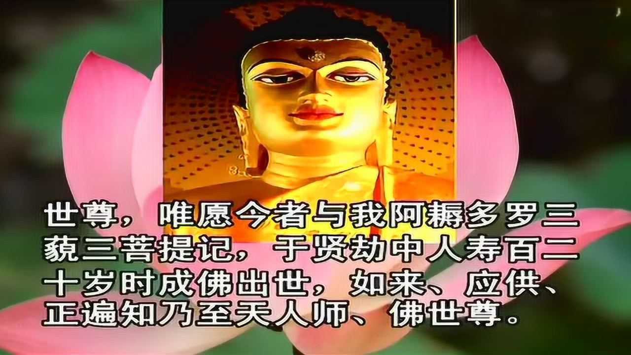 悲华经07—聆志居士