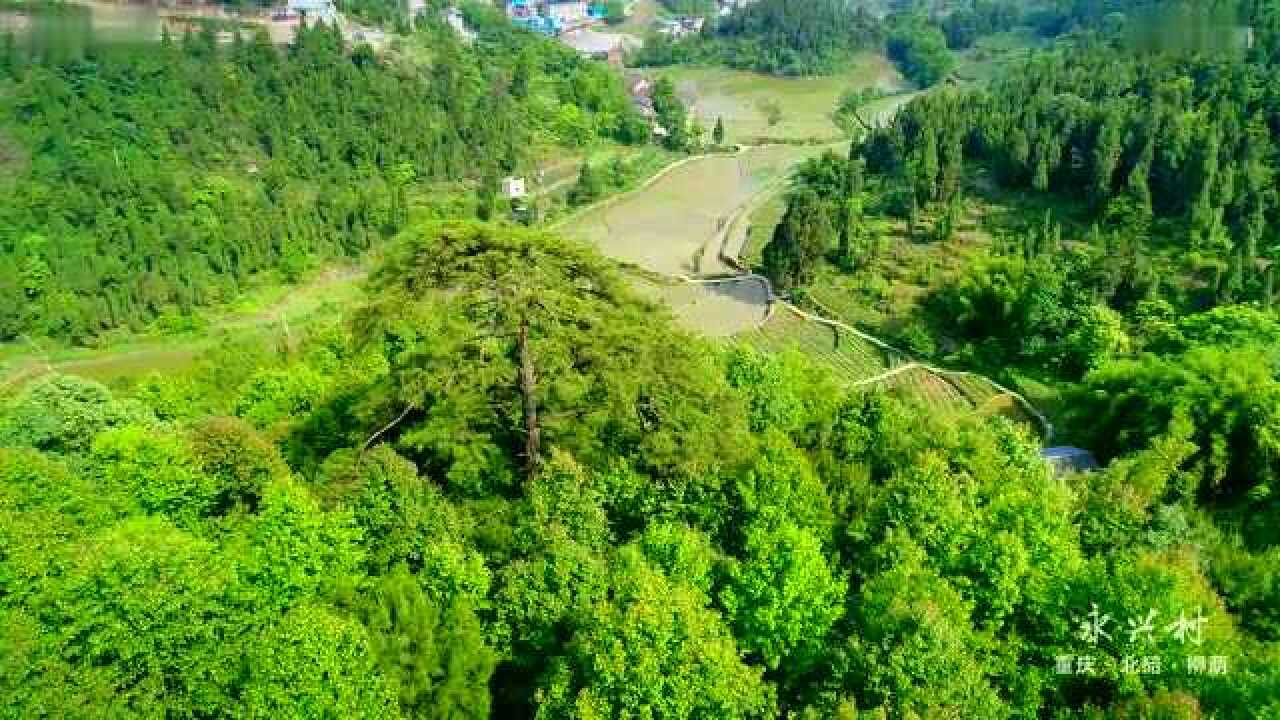 重庆市北碚区柳荫镇永兴村,了解一下