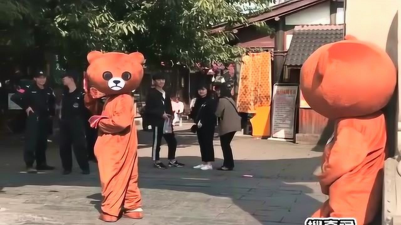 发现一只发传单的小熊跑过来的姿势太搞笑太有爱了