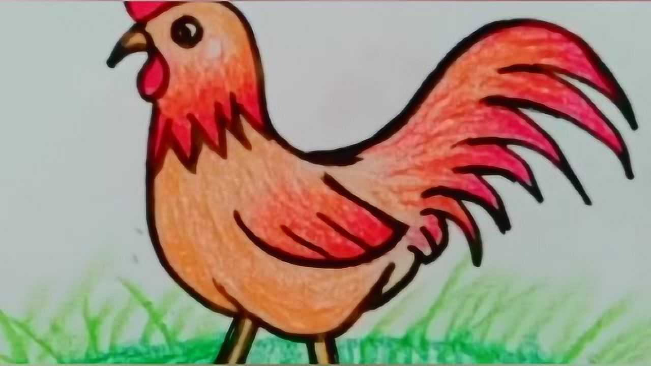 公鸡打鸣简笔画彩色图片