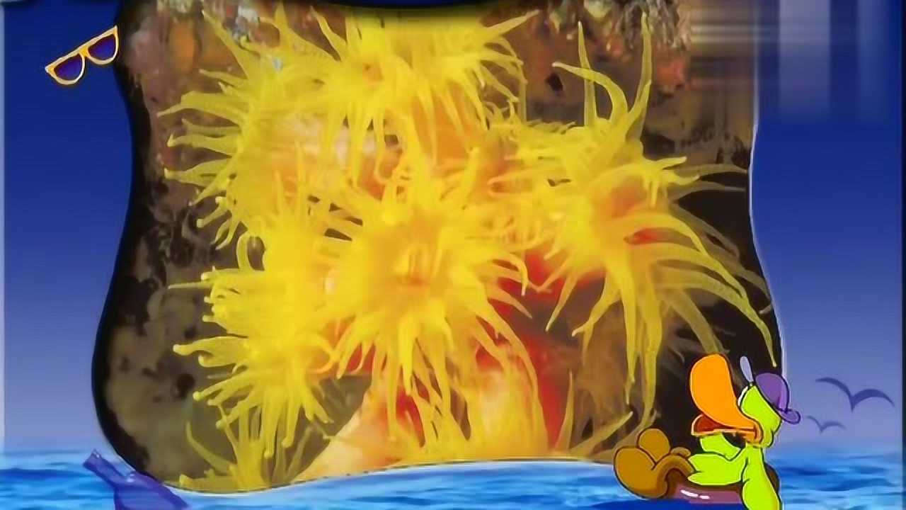 洪恩宝宝看世界之海葵与水母_腾讯视频