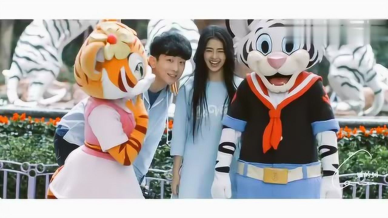 猫的树微电影—小情书系列之我看见一头狮子吻了一只鹿
