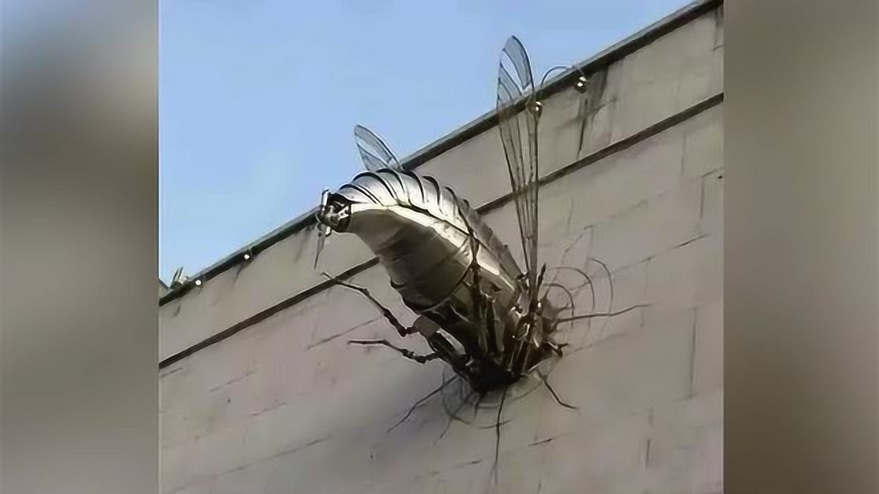 搞笑视频:这些年见过的奇葩雕塑,设计师你给我出来!