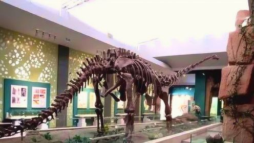 自然博物馆的奇妙之旅：“沉浸式”观展体验让你“穿越”回侏罗纪时期看恐龙