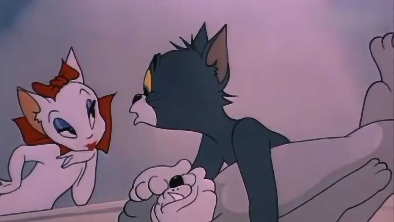 猫和老鼠汤姆你抱错人了