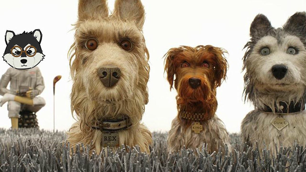 我阿拉斯加第一个不答应!片片解说高分电影《犬之岛》!