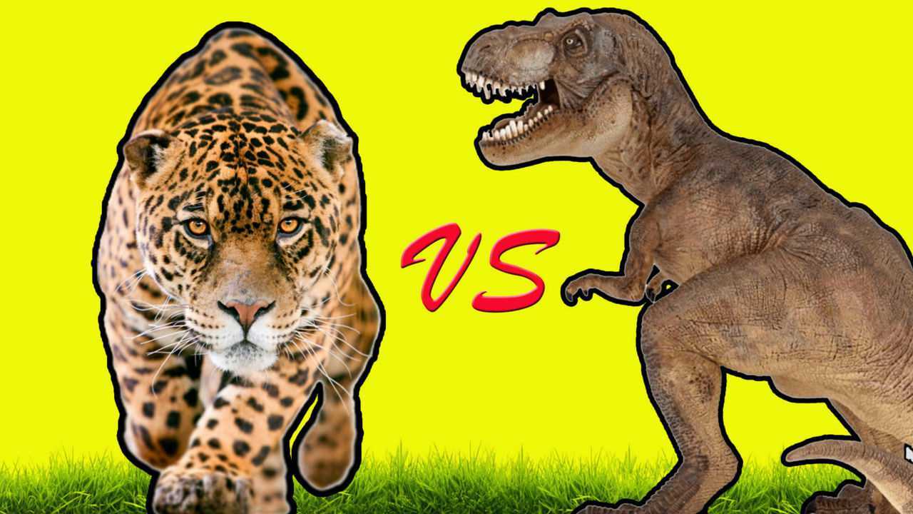 动物园pk侏罗纪恐龙_腾讯视频