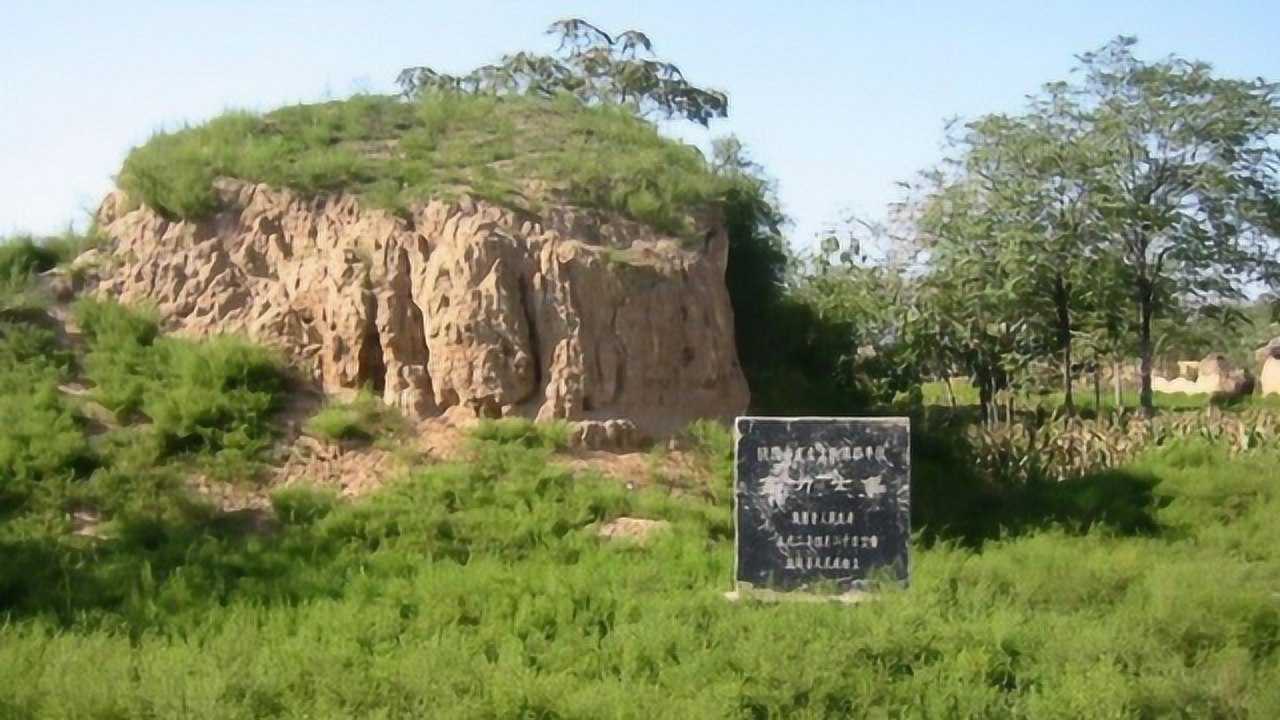 专家发掘高力士墓挖出此物后感叹千古忠宦第一人