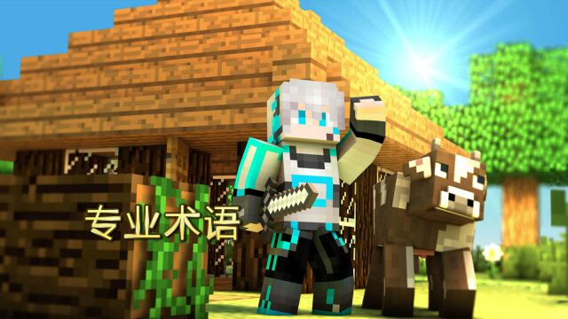 我的世界 Minecraft 据说只有老MC才懂的专业术语!你知道几个