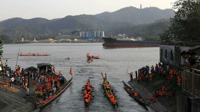 佛山南海九江国庆扒龙舟,从沙口水闸出西江兜风,九江水融入西江水