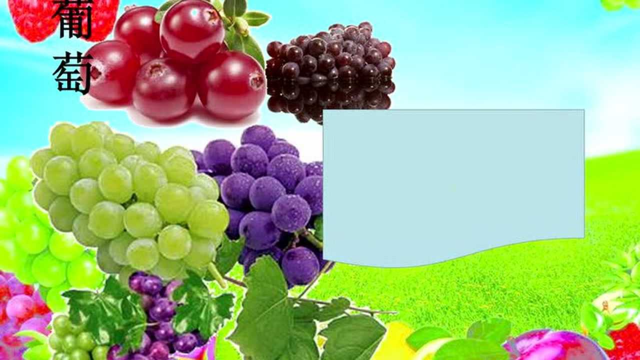 1709班ppt展示认识水果_腾讯视频