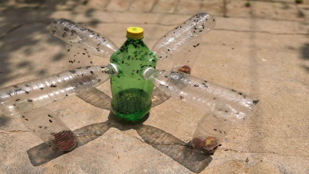 捕蝇器不用买,小伙教你不花一分钱,自制捕苍蝇工具!