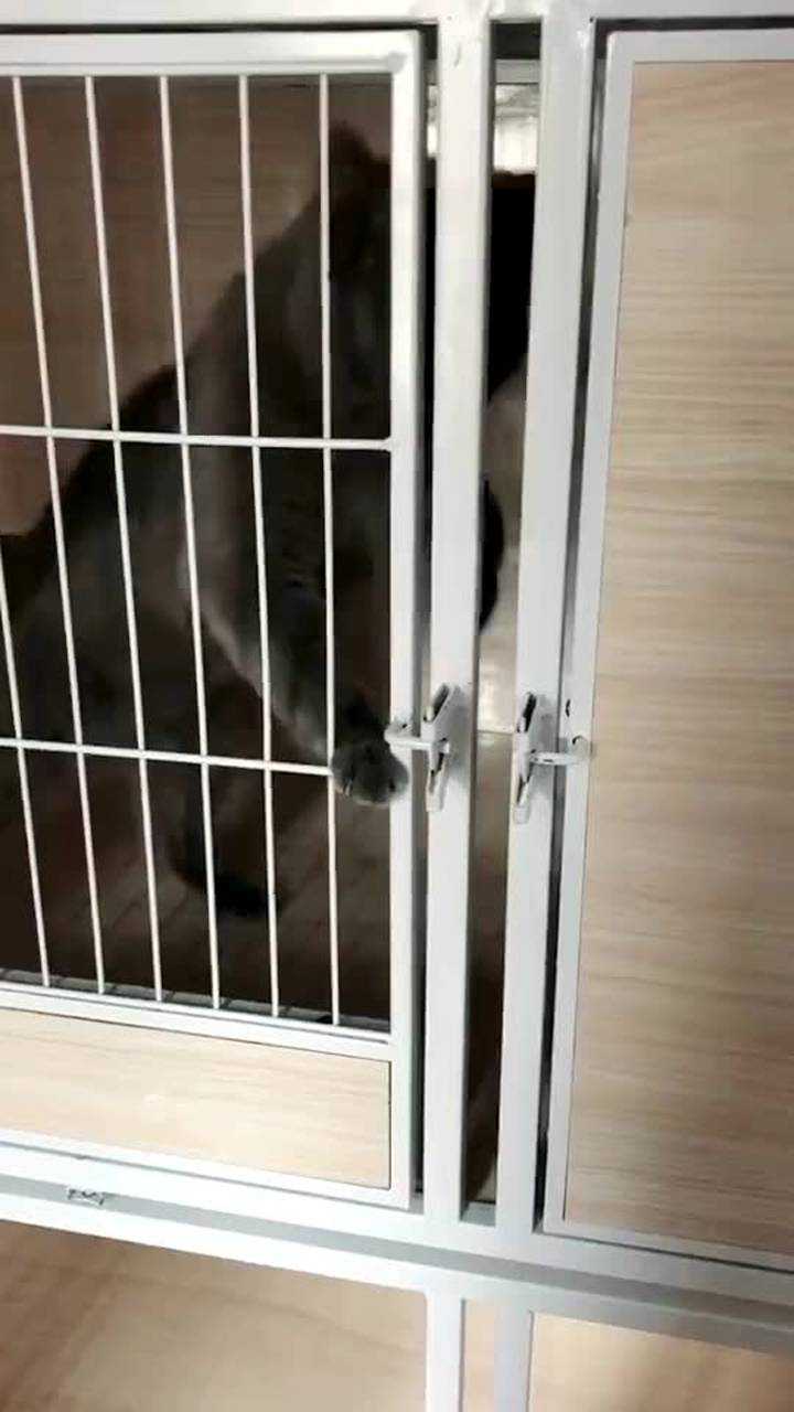 平时就是这么越狱的看见有人盯着还自己关上门