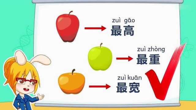 科学实验,在观察中比较不同