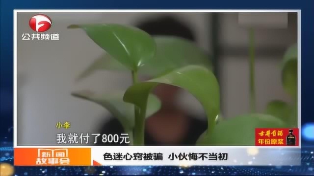 色迷心窍被骗 小伙悔不当初