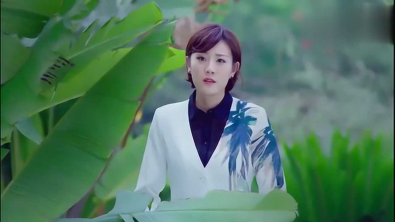 《反恐特战队之猎影》陆豪中枪昏迷,江寒和事老说教钟原赵欣二人