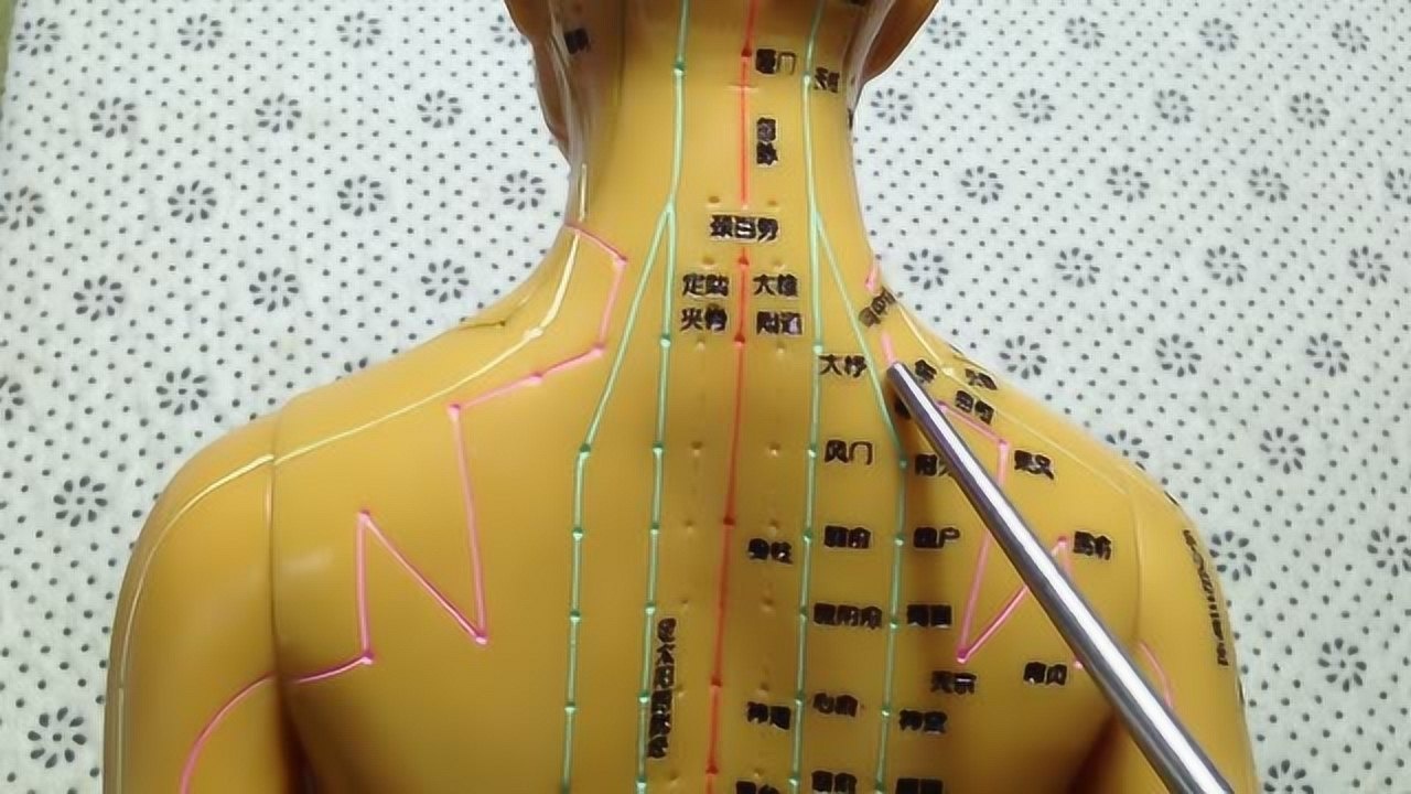 肩外俞穴:可有效治疗落枕 颈椎病 肌肉酸痛等,帮你一招搞定!