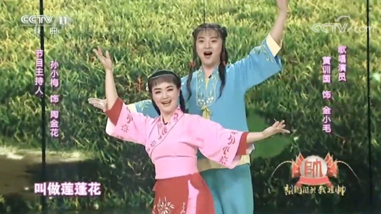 黄梅戏《打猪草》选段,演唱:孙小梅,黄训国_腾讯视频