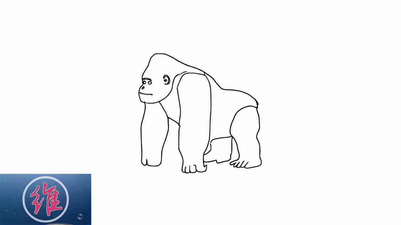 「零基础手绘」如何快速画出一只大猩猩