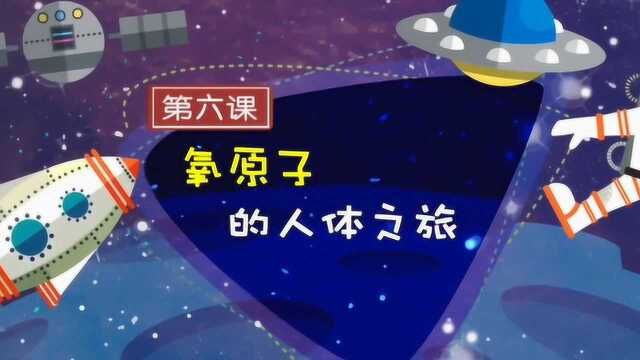 跟着超级英雄学科学知识——氧原子的人体之旅