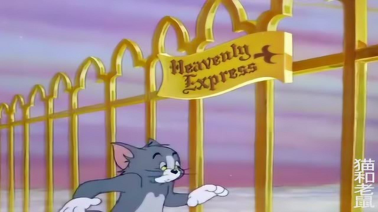 猫和老鼠汤姆走上了金色楼梯他来到了天堂