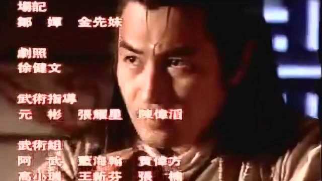 电视剧《杨门女将》最帅杨宗保