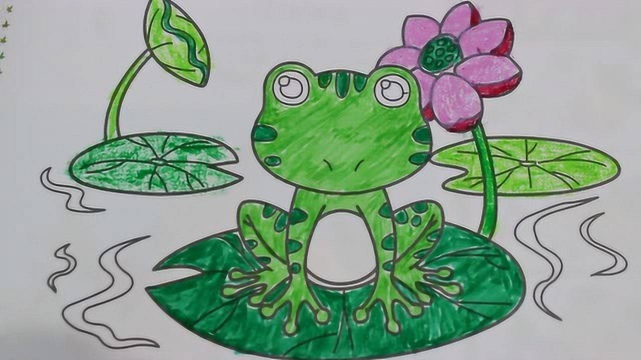 26岁幼儿园宝宝简笔画涂色青蛙小蝌蚪找妈妈故事