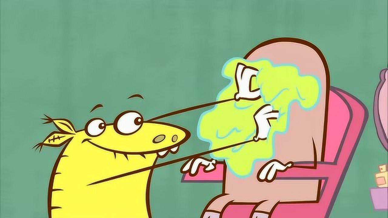 美容师鲁道夫为疣猪改头换面