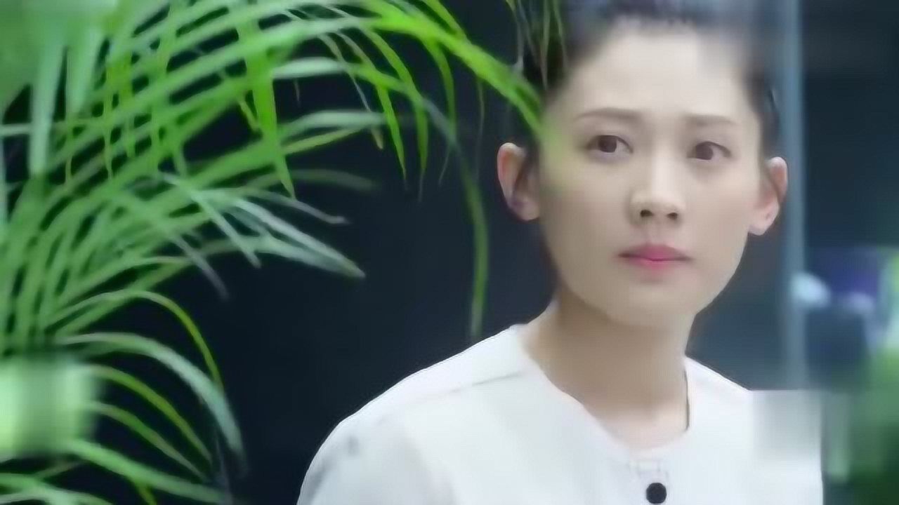 梅花儿香电视剧大结局图片