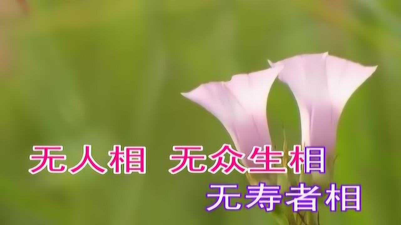 《金刚经》妙喜居士